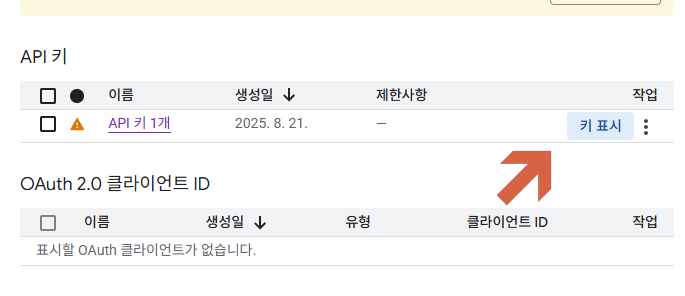 API 키 복사 화면