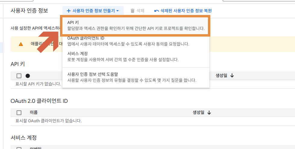 API 키 생성 및 복사 화면